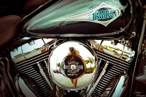 4 October 2016 Harley Davidsons are for selfies