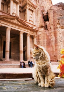November 2016 - Forbidden City, Petra, Isreal